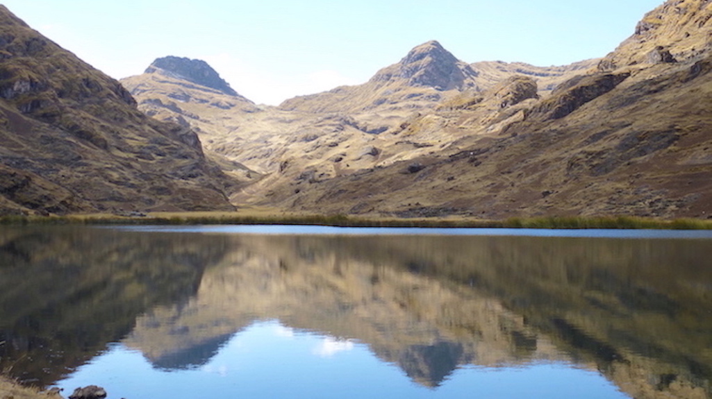 Stacks Image 54